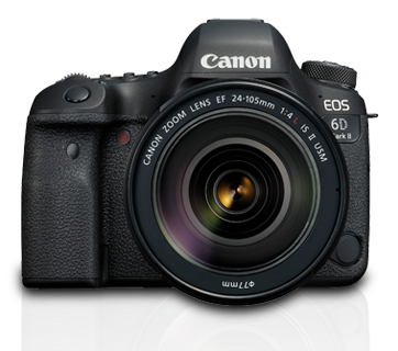 Canon EOS 6D Mark II Kit with EF 24-105mm f/4L IS II USM Lens | Camera Ark
